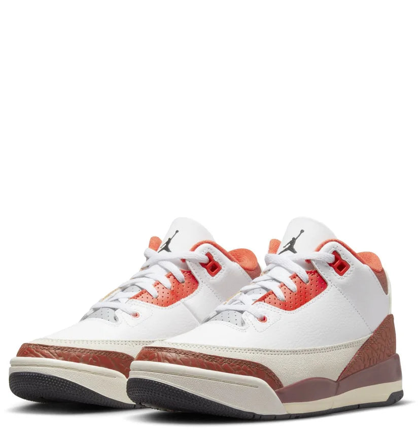 Air Jordan 3 Retro SE "Dunk on Mars"